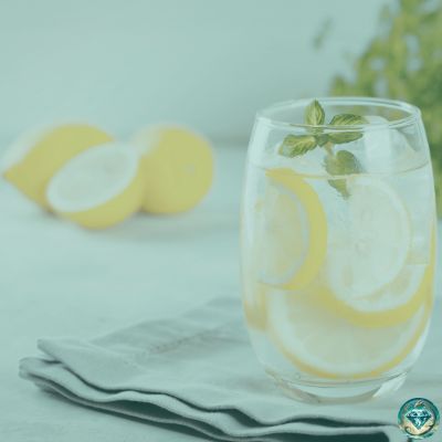 ¿Es bueno tomar Agua de Mar con limón en ayunas?
